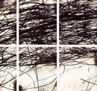 Daro Montag, Wind Blows-Bamboo
