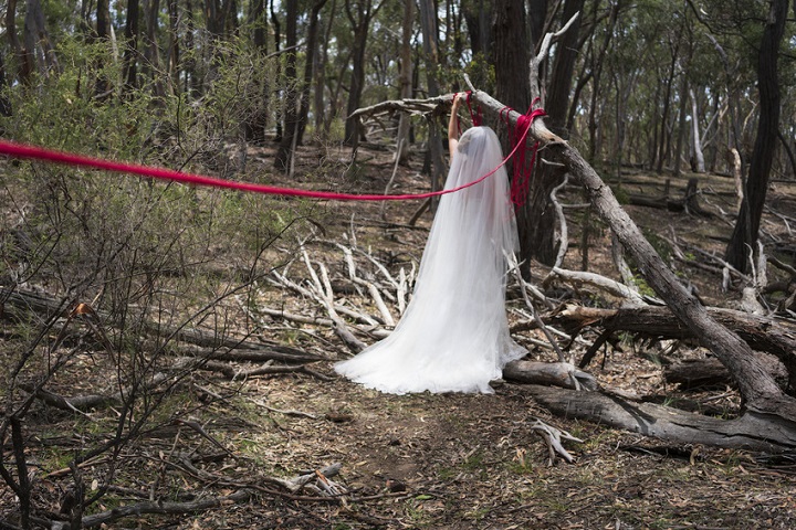 Amala Groom, The Union