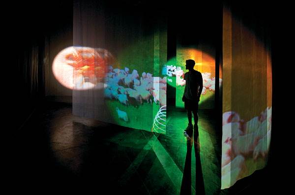 Pipilotti Rist, 'I Packed the Postcard in My Suitcase'