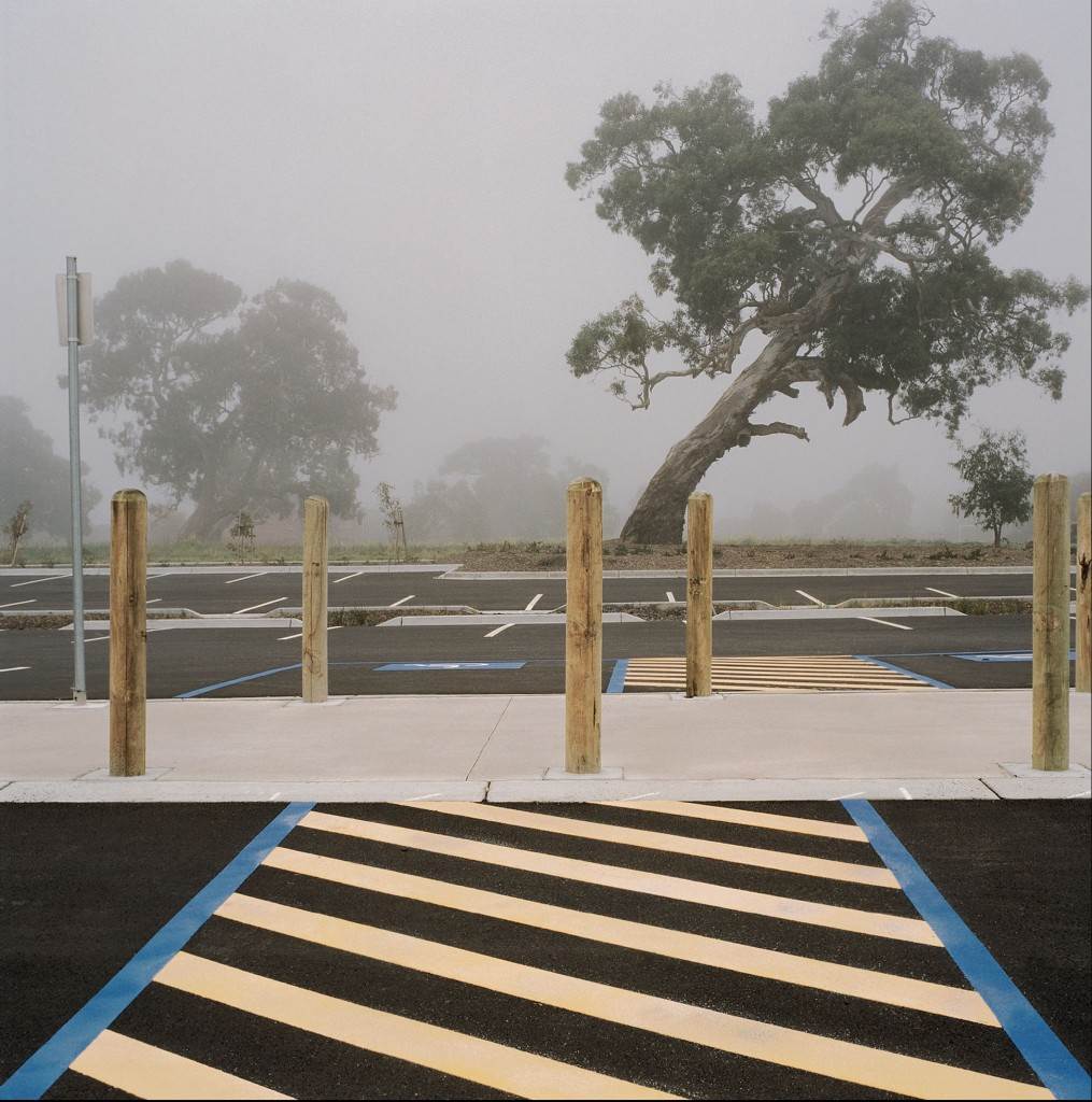 Dianna Wells, Untitled (Epping)(detail), 2012