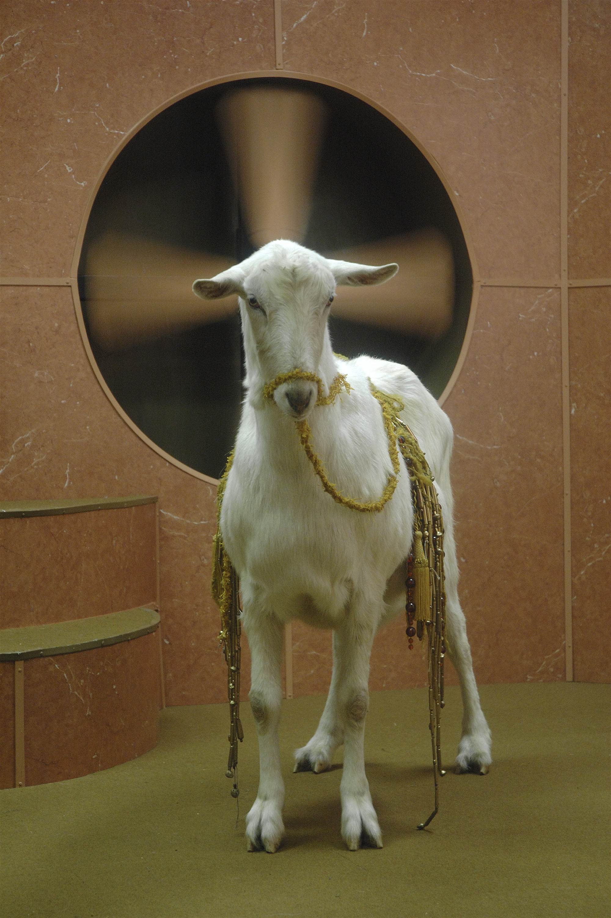 Goat Odyssey IV