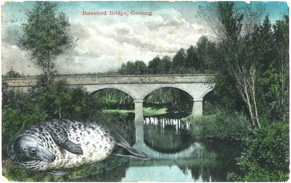 Gracia Haby, Wet whiskers drying