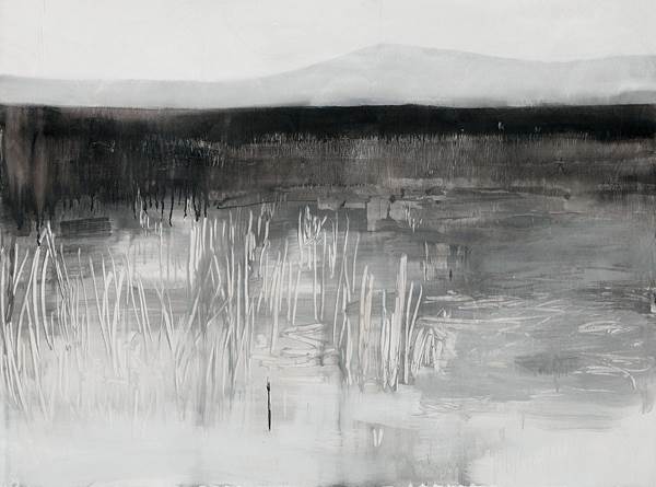 Michelle Hungerford, Stubble I