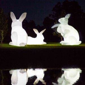 intrude_amanda_parer