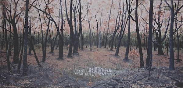 Janet Green , New Life