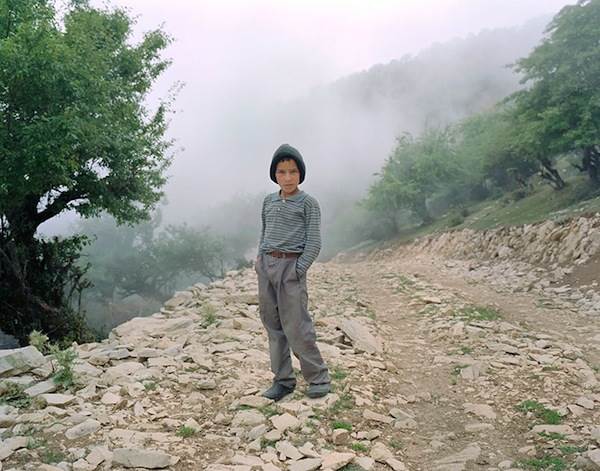 Hoda Afshar, Portrait of Ali, 2014
