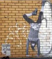 A Ritual of Handstands