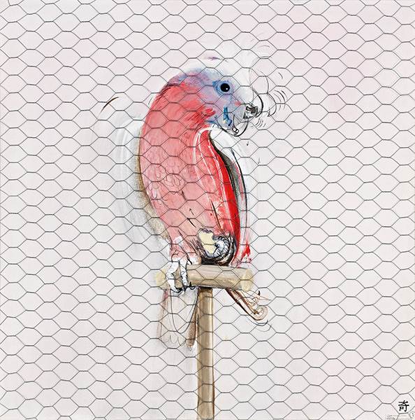 Brett Whiteley, Galah