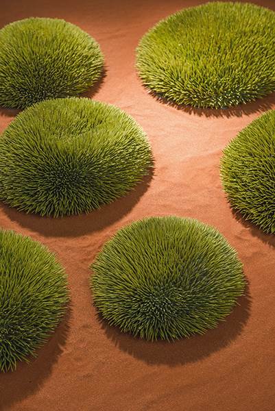 Louise Owen, Spinifex