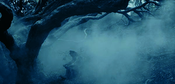 Lisa Reihana, Tai Whetuki - House of Death