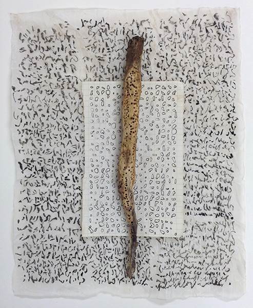 Sharon Jewell, Writing to myself at home