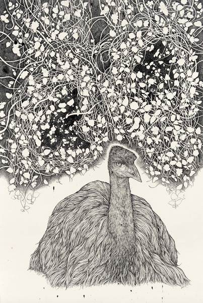 Leith Maguire, Thicket