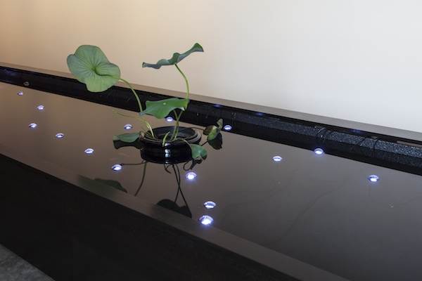 Tatsuo Miyajima, 100 Time Lotus