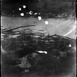 Dave Carswell, Flocculation #15
