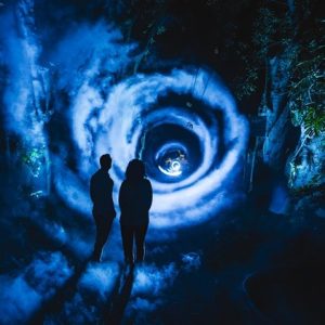 Night Visions