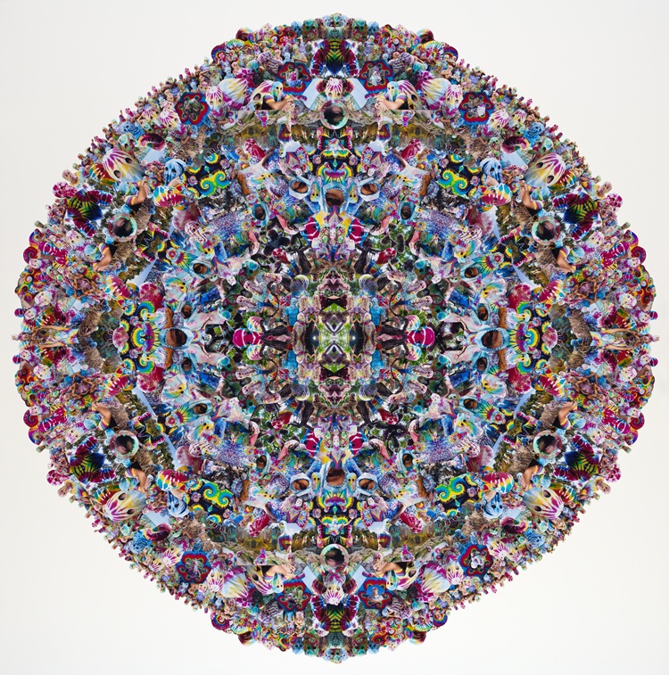 Jemima Wyman (Pairrebeener people), Aggregate Icon (Kaleidoscopic Catchment)