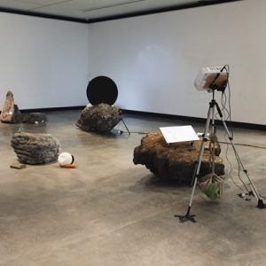 Shan Turner-Carroll, Bodies On A Rock
