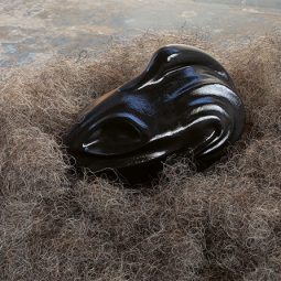 Francis Carmody, Black Swan Event: Incubating (detail), 2024