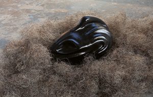 Francis Carmody, Black Swan Event: Incubating (detail), 2024