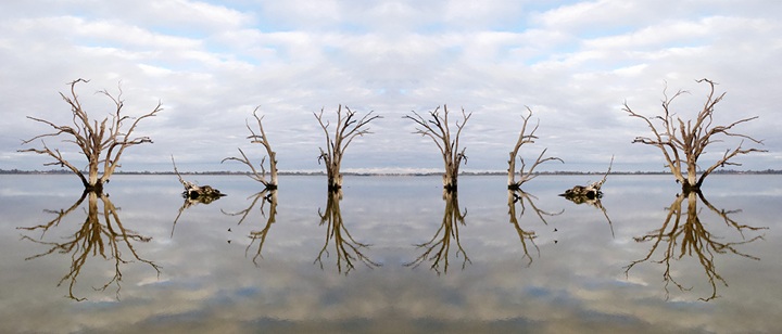 Nici Cumpston, Oh my Murray Darling