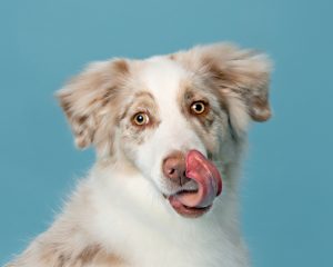 Julie Brown, Look at that tongue, 2024