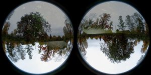 Virginia Hilyard and Fiona Kemp, still from the video series 'round and around,' 2025