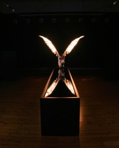 Sam Jinks, The Messenger (Iris)