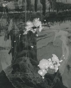 Sarah Rhodes, Chamber of projection I