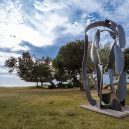 James Rogers (Australia), ‘Siren’s Song’