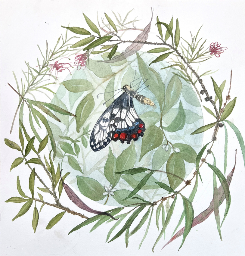 Carolyn Roberts, Window to a Garden – Swallowtail