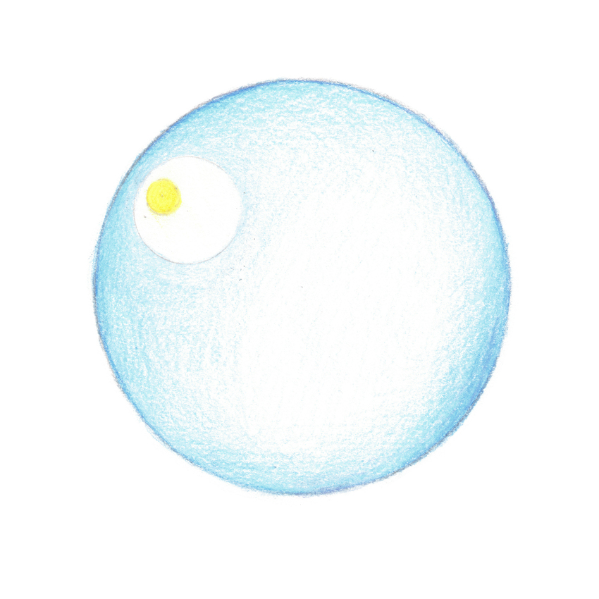 Michal Plis, Glimpse, 2025