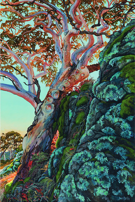 In the presence of the Elder (Mt. Towac), 2025