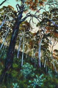 Forest Giant, reaching for the heavens (Nature loop track), 2025