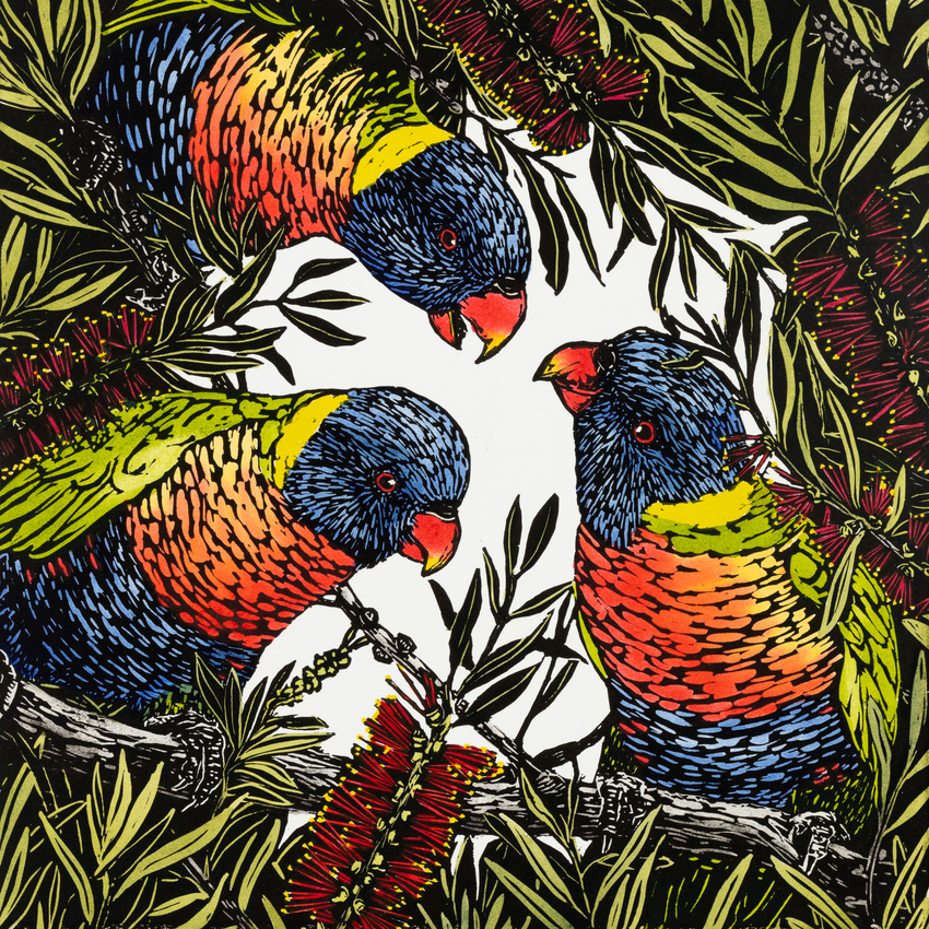 Karen Neal, A Riot of Rainbow Lorikeets, 2025