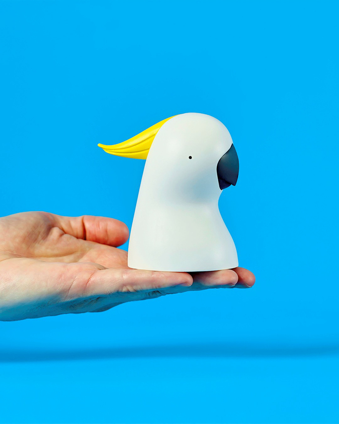 Egg Picnic, Sulphur Crested Cockatoo, 2025