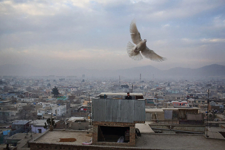 Andrew Quilty, Qala-e Musa, Kabul City, Kabul Province, 29/1/2014