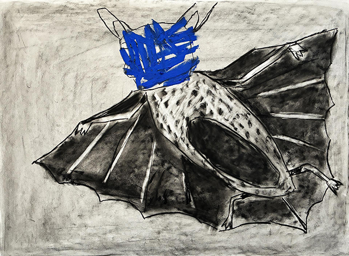 Shannon Field, Unnatural History (Bat Blue), 2026