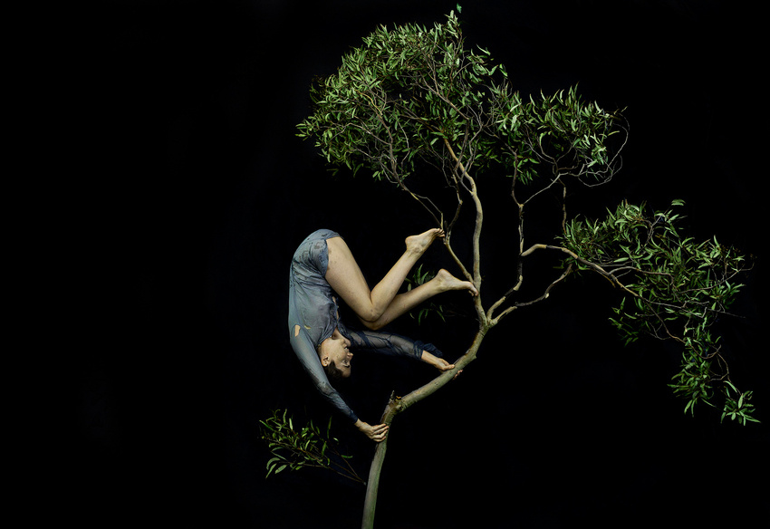 Tamara Dean, Tumbling through the treetops, 2020