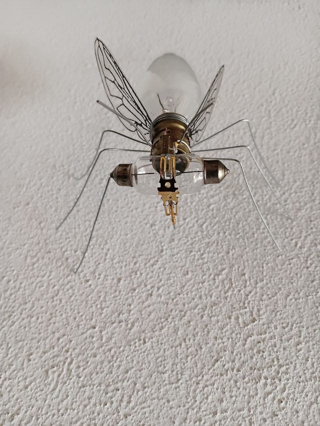 Libby Bloxham, Bug, 2025