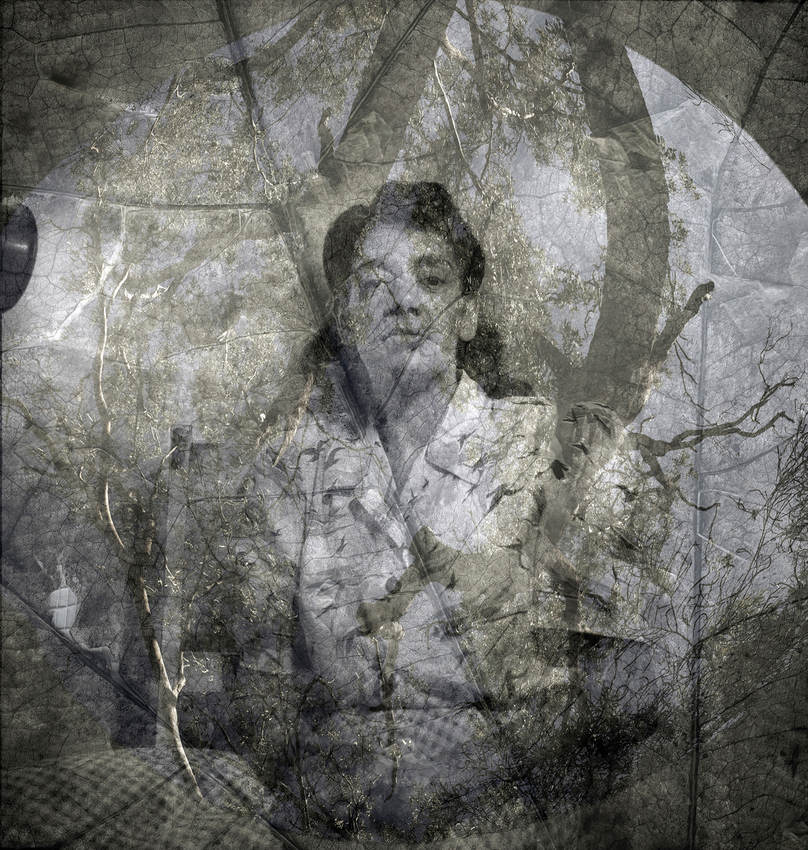 Leah King-Smith, Studio, 2018