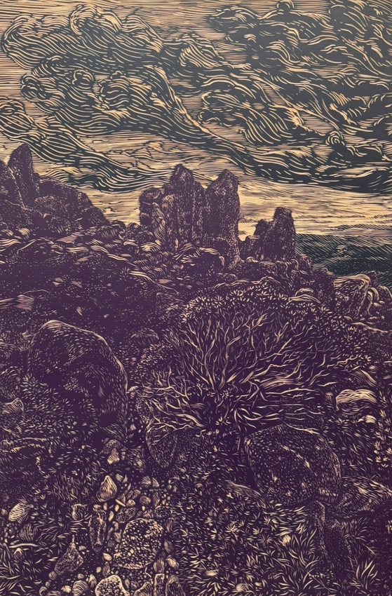 Graham Wilson, Kunanyi Tors, 2026