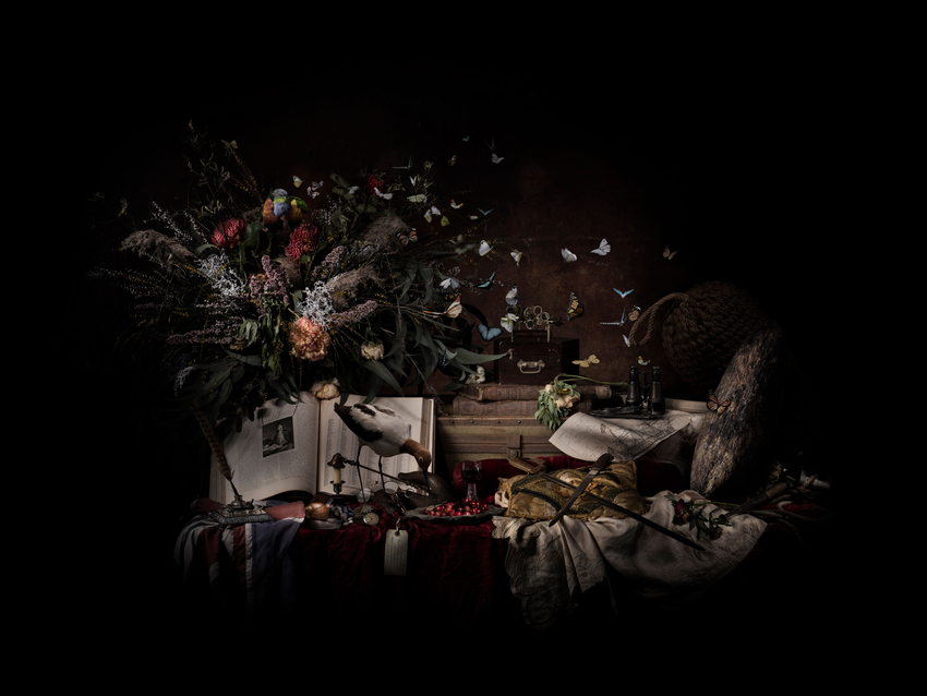 Michael Cook, Nature Morte (Colonisation), 2021