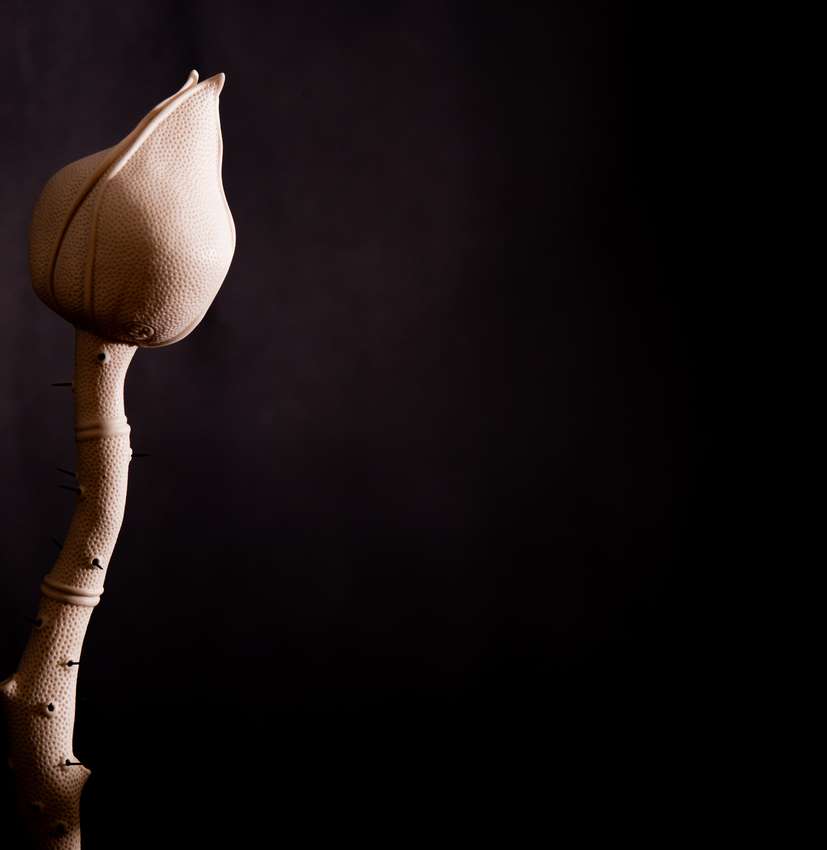 Sarah Rayner, Flowerbones of Bundjalung (detail), 2026