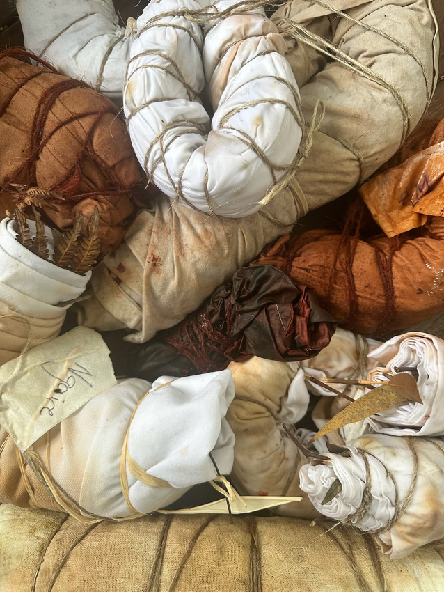 Collaborative artwork, Eco-dying workshop, 2026