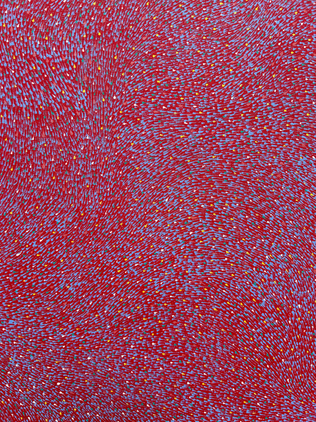 Elizabeth Kunoth Kngwarray (Anmatyerr), Yam Seeds (detail), 2025