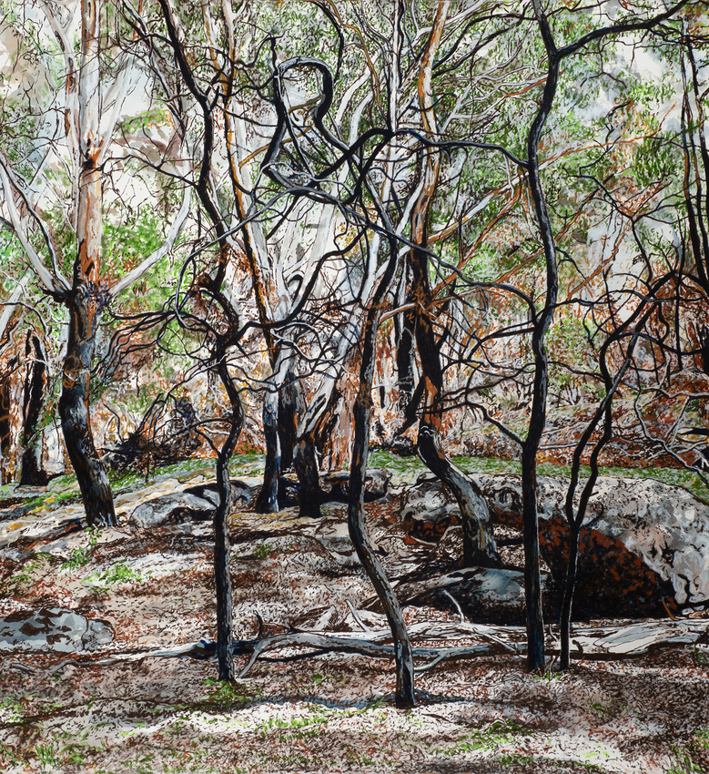 Julie Goodwin, Autumn after the fire