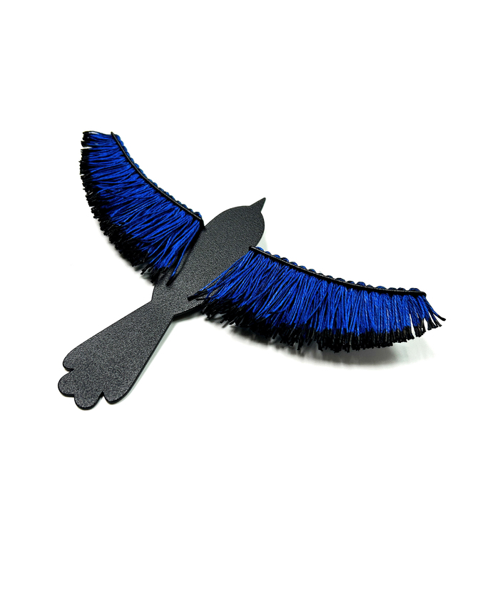 Vicki Mason, Canary in the coal mine – Superb Fairy-wren, 2026