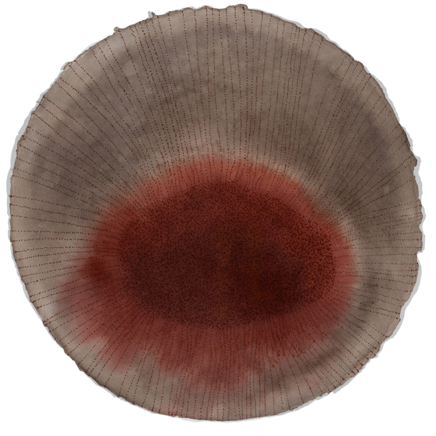 Ian Friend, Wound Response #1, 2024–5