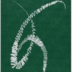 Perimeter Editions × Monash University Museum of Art / April 2026 / 208pp / OTA-bind softcover with flaps / 17 × 24cm / ISBN 978-1-922-54565-7 / $65 / First Edition of 800 / Editors: Stephanie Berlangieri and Pip Wallis / Texts: Ariana Reines, Sriwhana Spong, Vera Mey, May Adadol Ingawanij, Tessa Laird, and Rebecca Coates / Design: Narelle Brewer for Perimeter Bureau / Contributing editor: Dan Rule