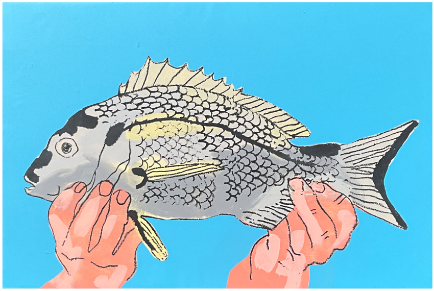 Jack Rodgers, No Mean Feat (Bream), 2026